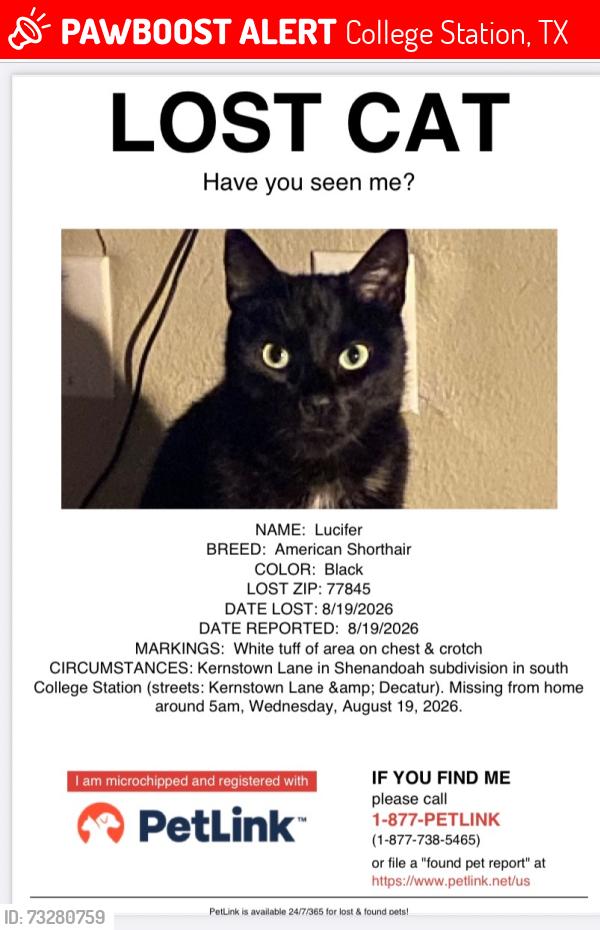 Lost Male Cat last seen Nearby the Kernstown street, College Station, TX 77845