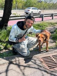 Lost Male Dog last seen Dog park on 165, New York, NY 10002