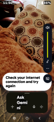 Lost Male Cat last seen Near Valleyside Dr, Portland, MI 48875