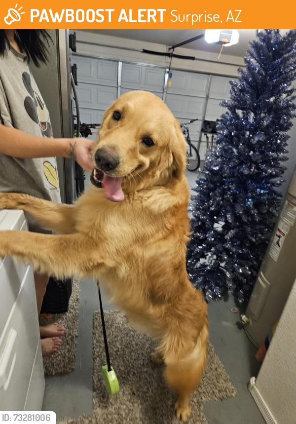 Found/Stray Male Dog last seen Reems and Grand, Surprise, AZ 85374