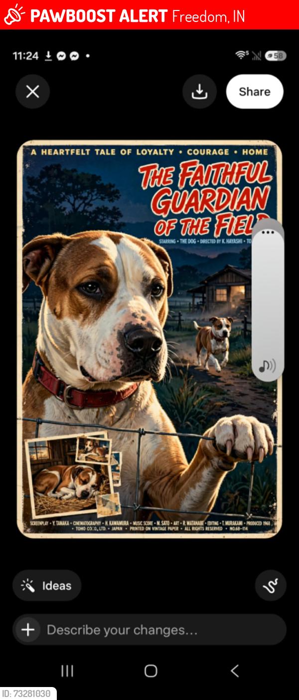 Lost Male Dog last seen denmark rd stubenville rd, Freedom, IN 47431
