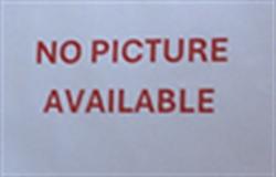 Shelter Stray Unknown Cat last seen , 232 Eslinger Way, Sanford, FL 32773, USA