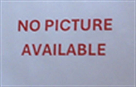Shelter Stray Unknown Cat last seen , 232 Eslinger Way, Sanford, FL 32773, USA