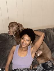 Reunited Male Dog last seen 16th and college ave, Terre Haute, IN 47803