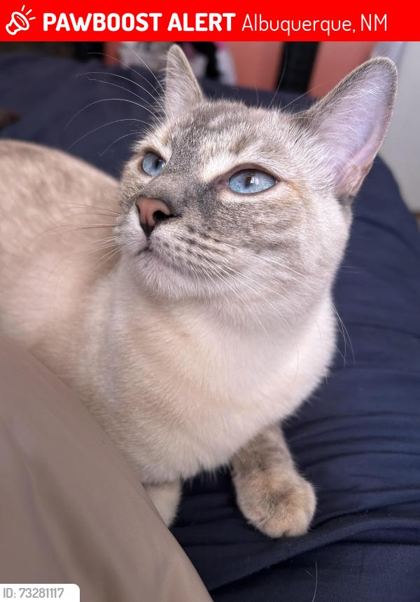 Lost Female Cat last seen Alvarado Park, San Mateo and Indian school., Albuquerque, NM 87110