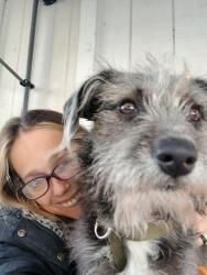 Lost Male Dog last seen Phipps Lane and causey rd, Conway, SC 29526