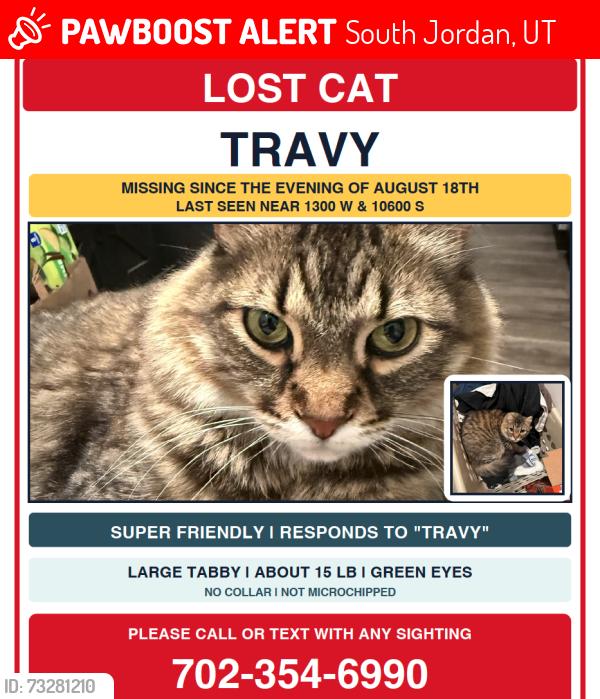 Lost Male Cat last seen W South Jordan Pkwy and S Temple Dr, South Jordan, UT 84095