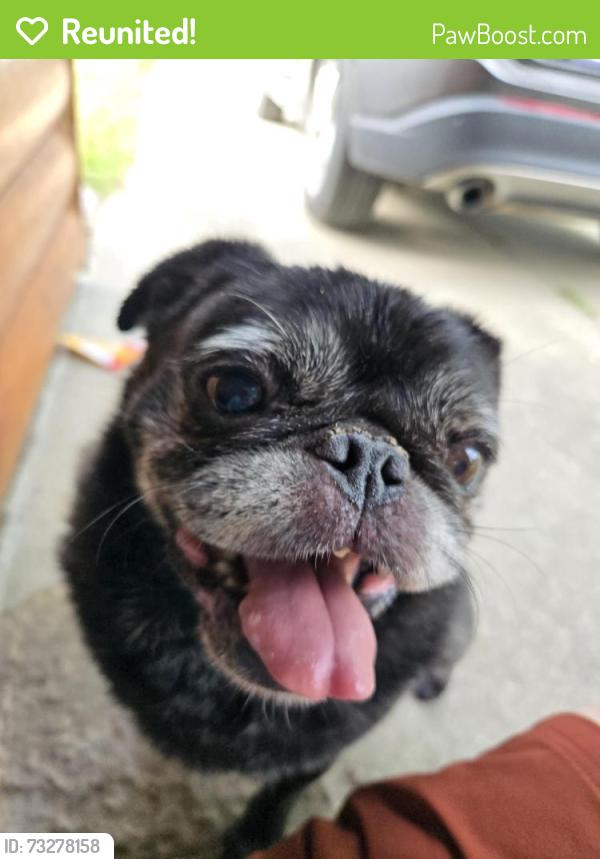 Reunited Unknown Dog last seen Oregon twp hall, Oregon Township, MI 48446