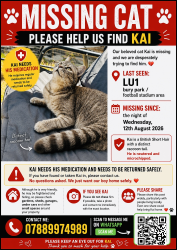 Lost Male Cat last seen Football stadium, Luton, England LU1 1DG