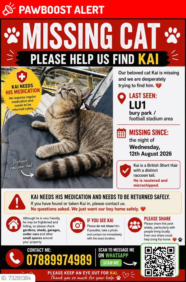 Lost Male Cat last seen Football stadium, Luton, England LU1 1DG
