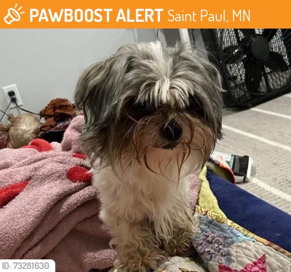 Found/Stray Male Dog last seen Payne and Phalen, Saint Paul, MN 55106