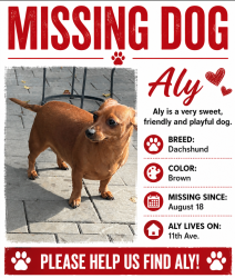 Reunited Female Dog last seen Fair Oaks Ave, Menlo Park, CA 94025
