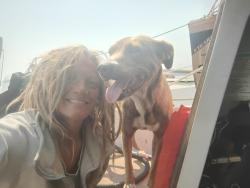 Lost Female Dog last seen Near seaview ave, Seattle, WA 98117