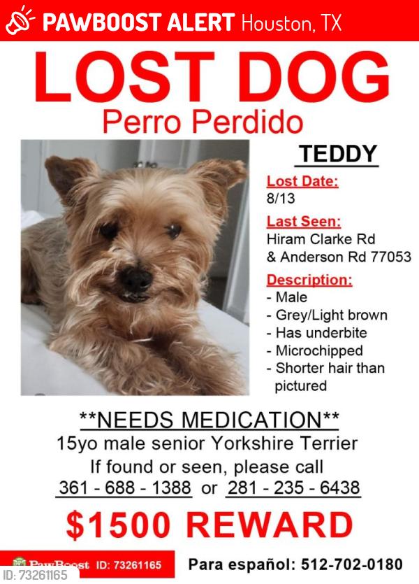 Lost Male Dog last seen Anderson Lake community and possible sighting on Anderson Rd/Hiram Clark, Houston, TX 77053