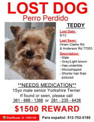 Lost Male Dog last seen Anderson Lake community and possible sighting on Anderson Rd/Hiram Clark, Houston, TX 77053