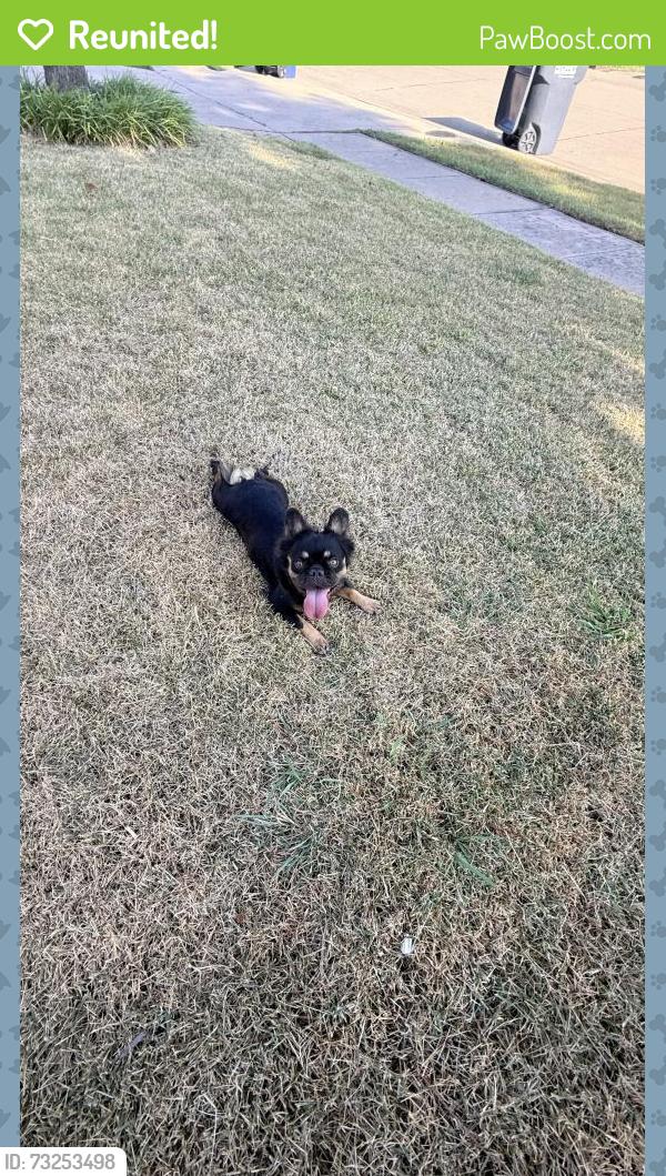 Reunited Female Dog last seen Virginia Hills, McKinney, TX 75071