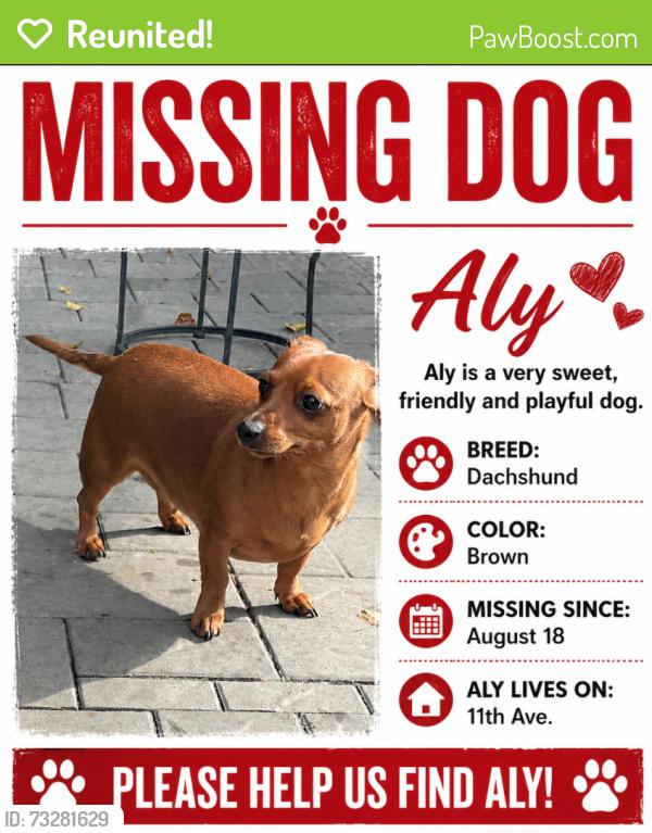 Reunited Female Dog last seen Fair Oaks Ave, Menlo Park, CA 94025