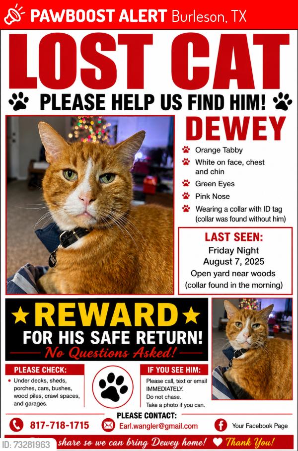 Lost Male Cat last seen Rancho Seridad, Burleson, TX 76028