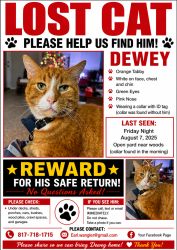 Lost Male Cat last seen Rancho Seridad, Burleson, TX 76028