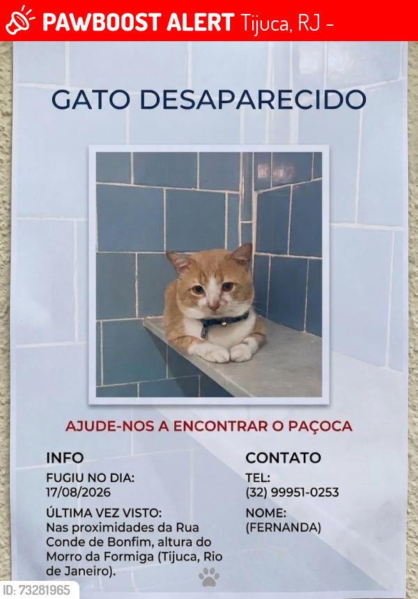 Lost Male Cat last seen Terreno da Light, Tijuca, RJ 20530-060