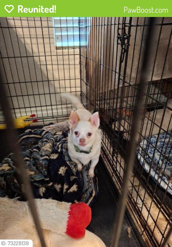 Reunited Male Dog last seen East Lake Houston Blvd, Huffman, TX 77336
