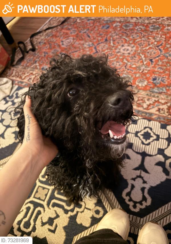 Found/Stray Male Dog last seen tasker morris Subway Station, Philadelphia, PA 19146
