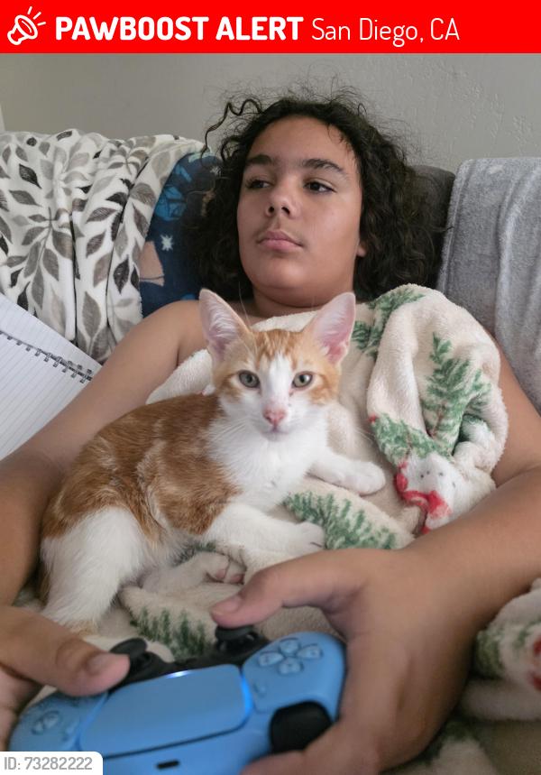 Lost Male Cat last seen 54th st, San Diego, CA 92105