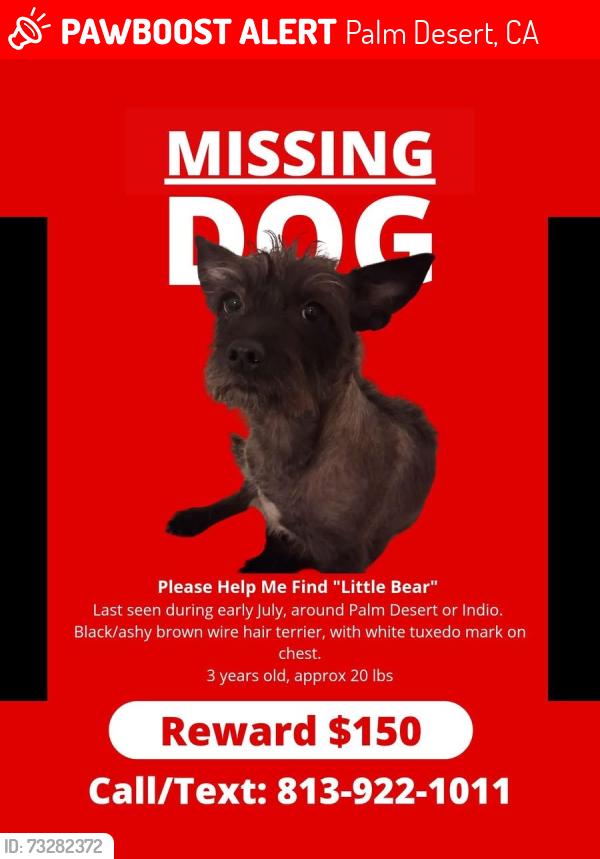 Lost Male Dog last seen Portola/de anza, Palm Desert, CA 92260