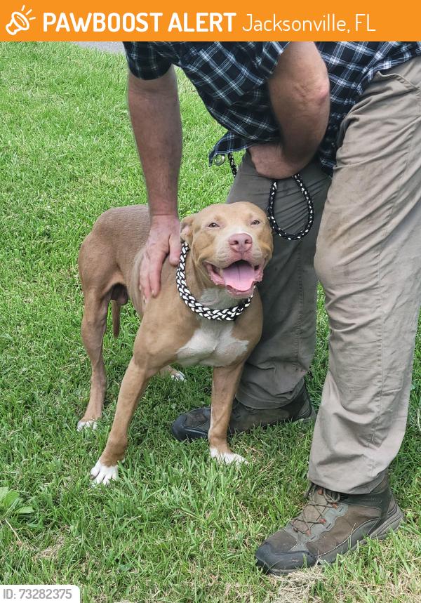 Found/Stray Male Dog last seen Broward boat ramp, Jacksonville, FL 32218