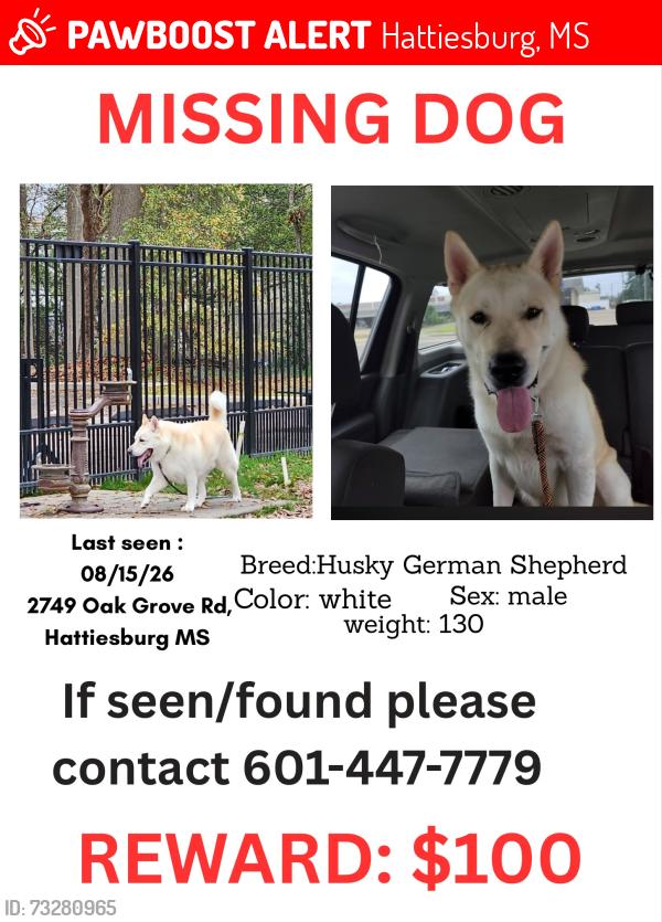 Lost Male Dog last seen Hegwood rd, Hattiesburg, MS 39402