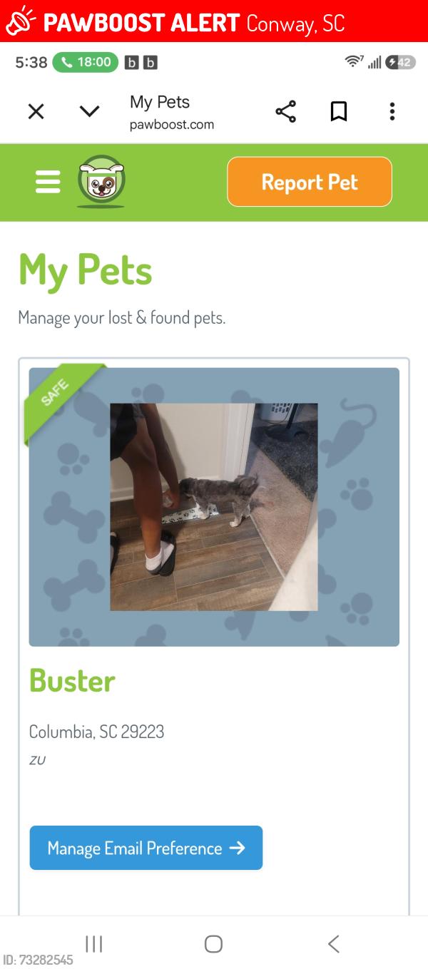 Lost Male Dog last seen Highway 548... brison ct., Conway, SC 29527