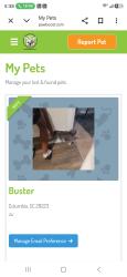 Lost Male Dog last seen Highway 548... brison ct., Conway, SC 29527