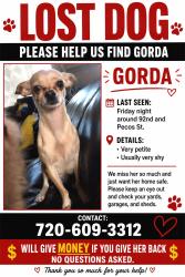 Lost Female Dog last seen Near pecos, Denver, CO 80260