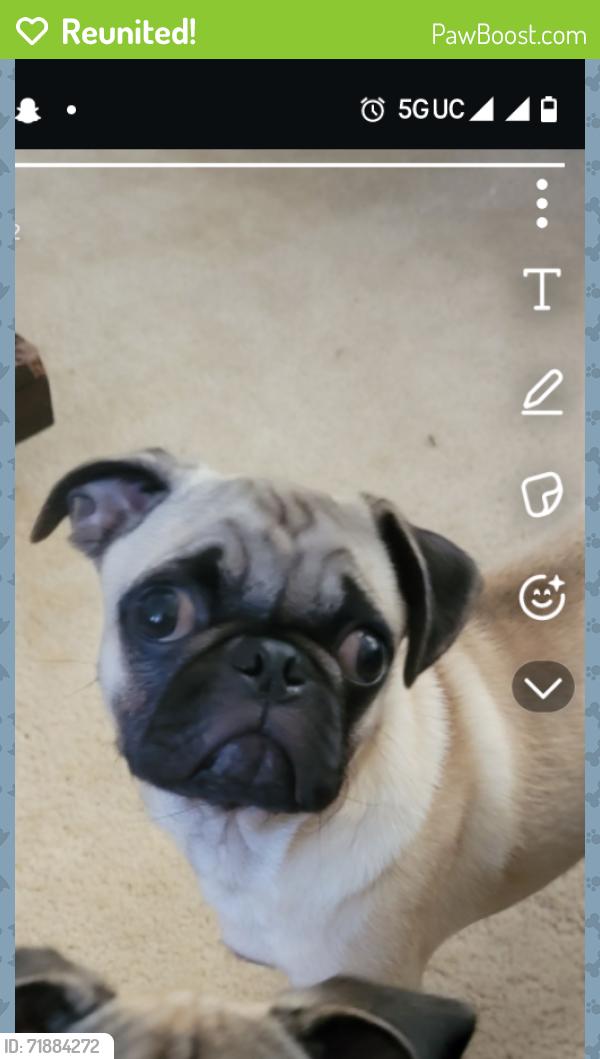 Reunited Male Dog last seen Near Wycliff Ave, Dallas, TX 75219, USA, Dallas, TX 75219