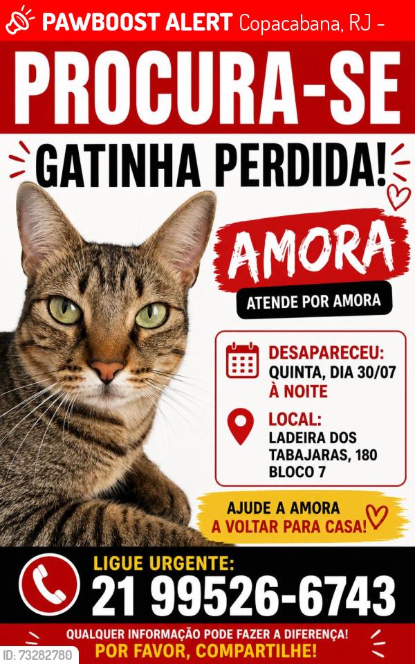 Lost Female Cat last seen Ladeira dos tabajaras, Copacabana, RJ 22031-112