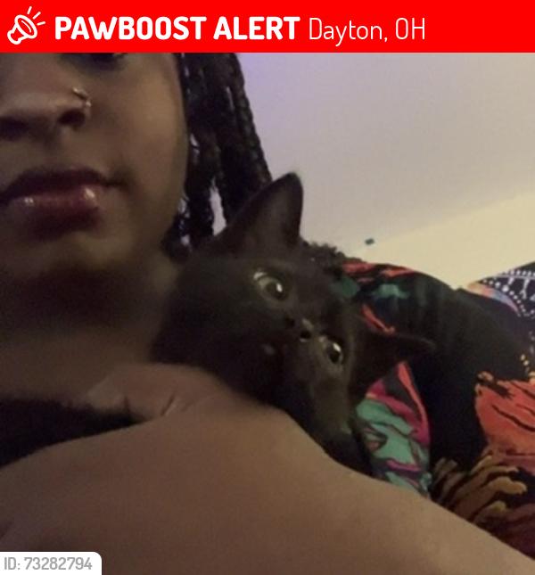 Lost Female Cat last seen She left from near rays I’m not sure where….., Dayton, OH 45402