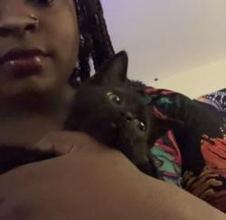 Lost Female Cat last seen She left from near rays I’m not sure where….., Dayton, OH 45402
