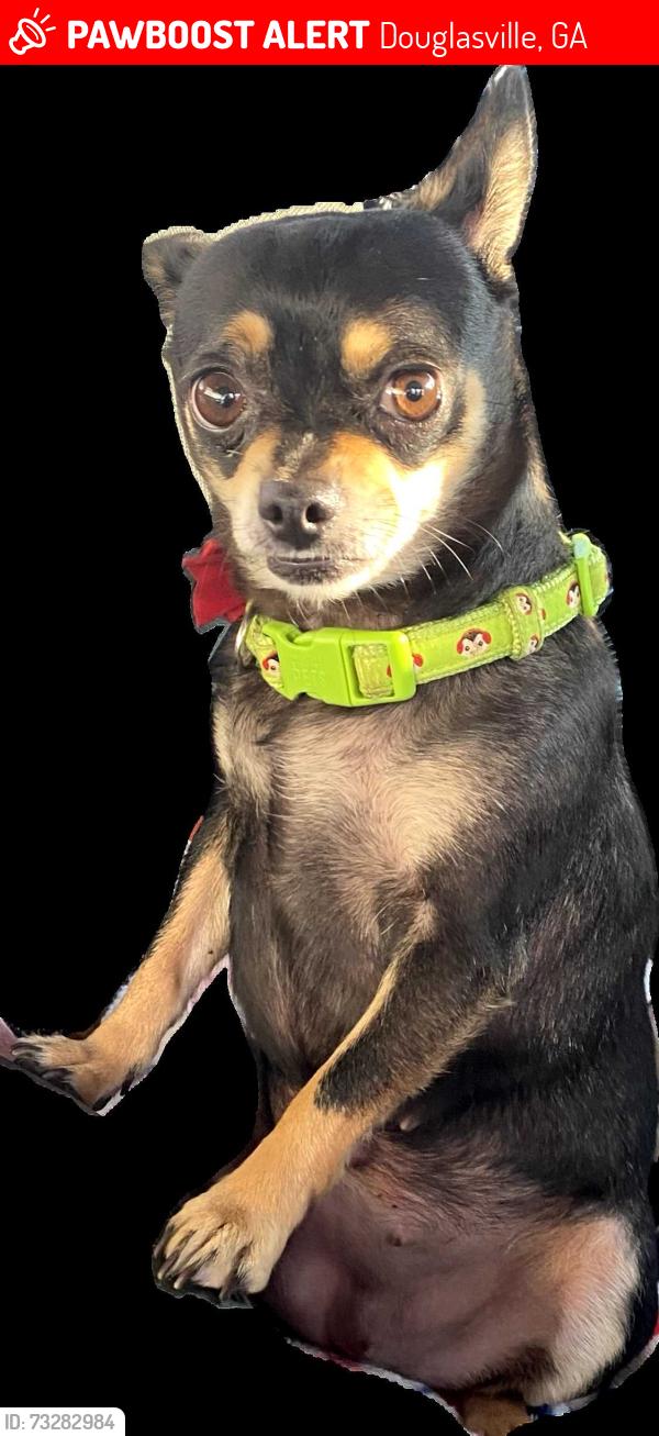 Lost Female Dog last seen Chapel Hill, Douglasville, GA 30135