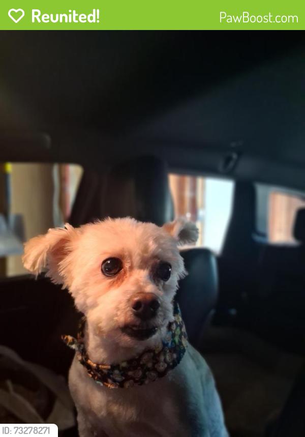 Reunited Male Dog last seen St. Mary Magdalene Church, Joliet, IL 60433