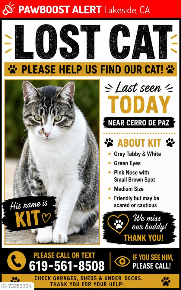 Lost Male Cat last seen eucalyptus hills elementary, Lakeside, CA 92040