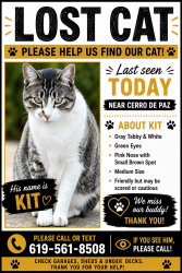 Lost Male Cat last seen eucalyptus hills elementary, Lakeside, CA 92040