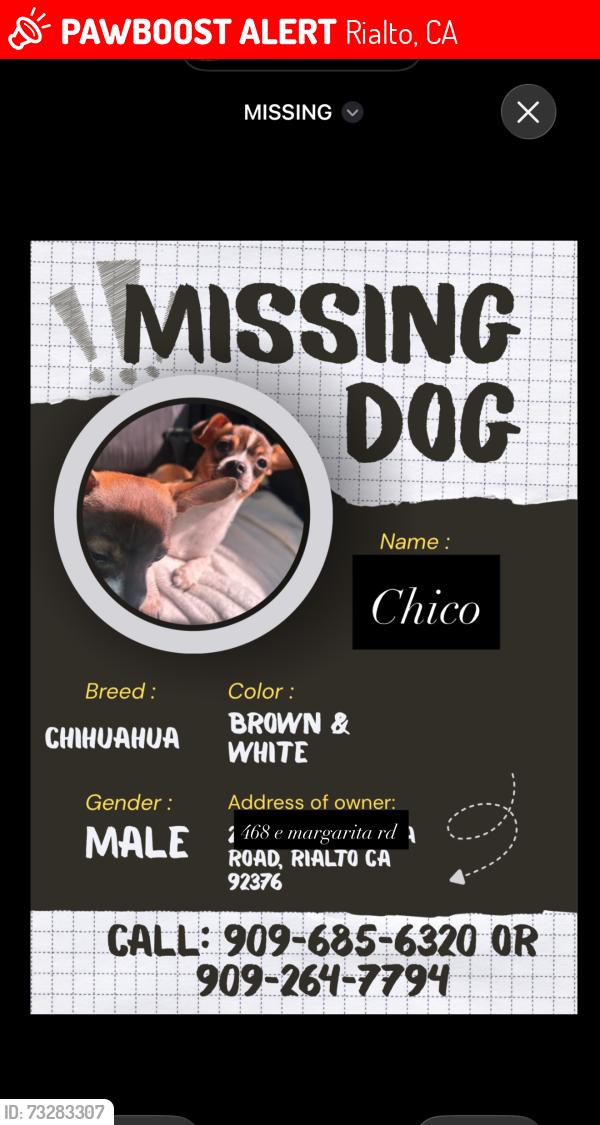Lost Male Dog last seen Acacia and Margarita, Rialto, CA 92376