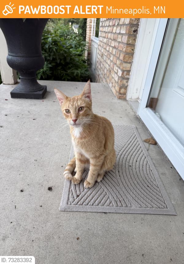 Found/Stray Unknown Cat last seen 19th Ave & peony, Minneapolis, MN 55447