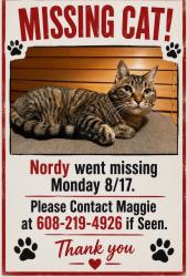 Lost Male Cat last seen Katydid Lane, Labeaux Ave NE, Bebe Lake Road in Hanover, MN, Hanover, MN 55341