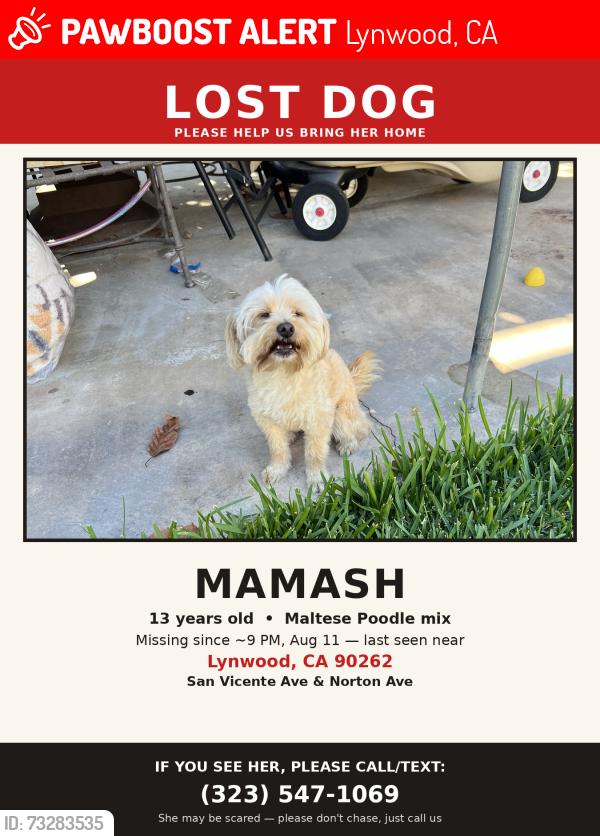 Lost Female Dog last seen Abbott rd and San Vincente Ave., Lynwood, CA 90262