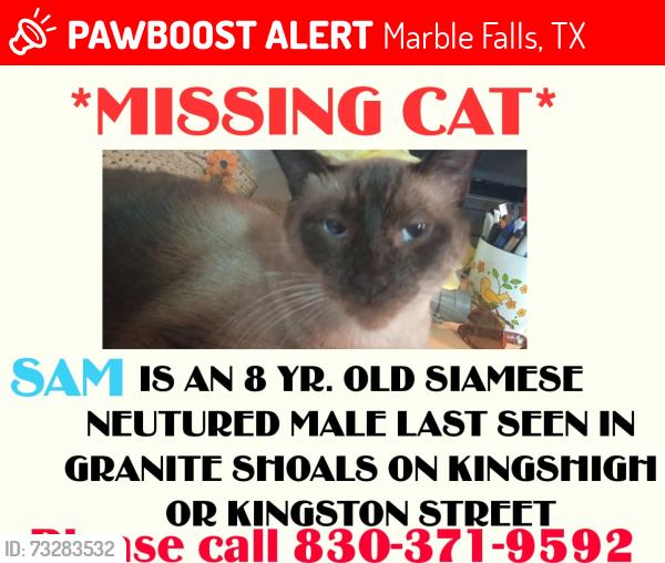 Lost Male Cat last seen Valley View in Granite Shoals, Marble Falls, TX 78654
