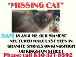 Lost Male Cat last seen Valley View in Granite Shoals, Marble Falls, TX 78654
