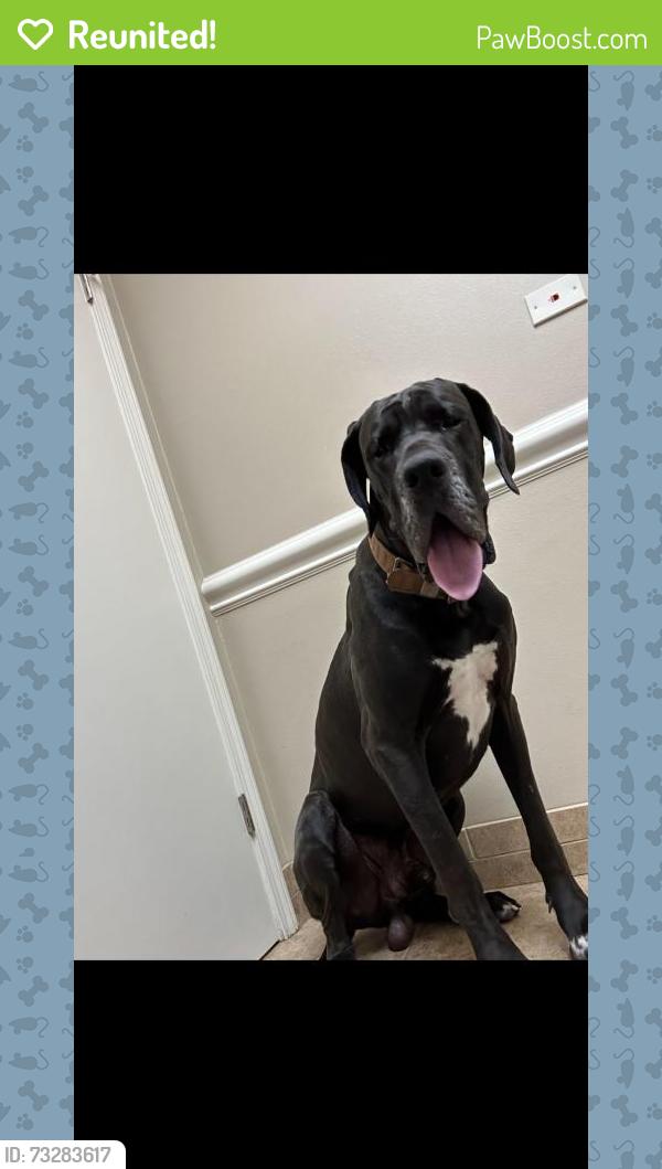 Reunited Male Dog last seen Greenwood, LA, USA, Greenwood, LA 71119
