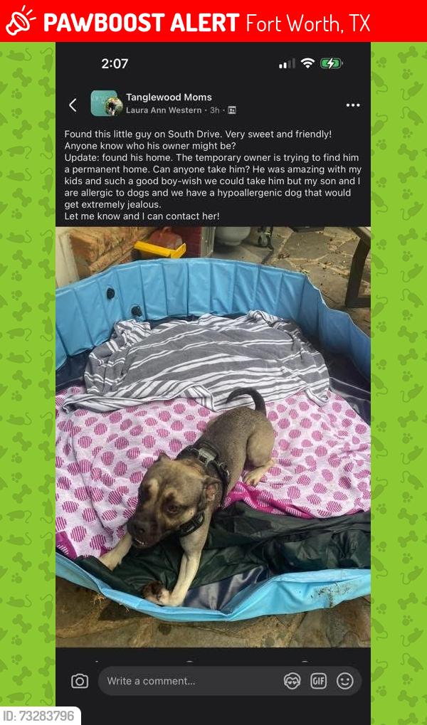 Lost Male Dog last seen South Drive, Fort Worth, TX 76132