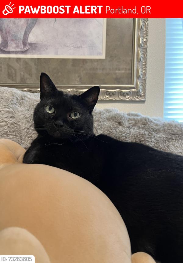 Lost Female Cat last seen Near Upshur Street, Portland, OR 97210